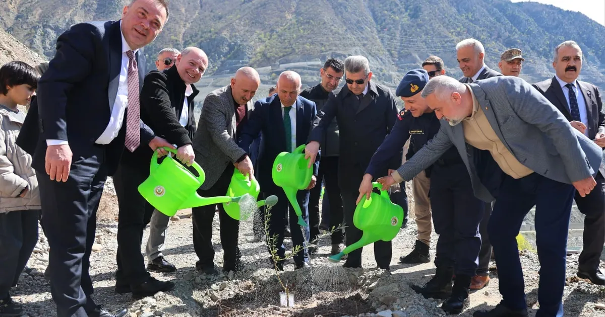 Artvin’de Butko zeytini üretimi yaygınlaşıyor - Gündem Haberleri