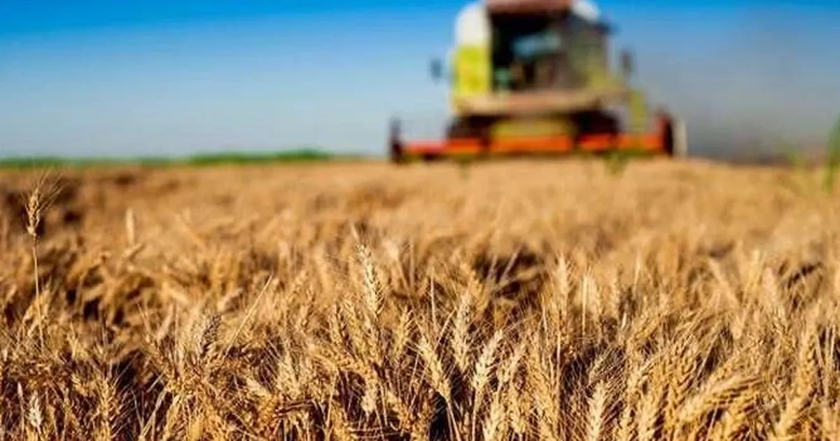 Kırsal kalkınmaya büyük destek... Tarım ve Orman'dan 30 milyon TL’ye kadar hibe! - Gündem Haberleri