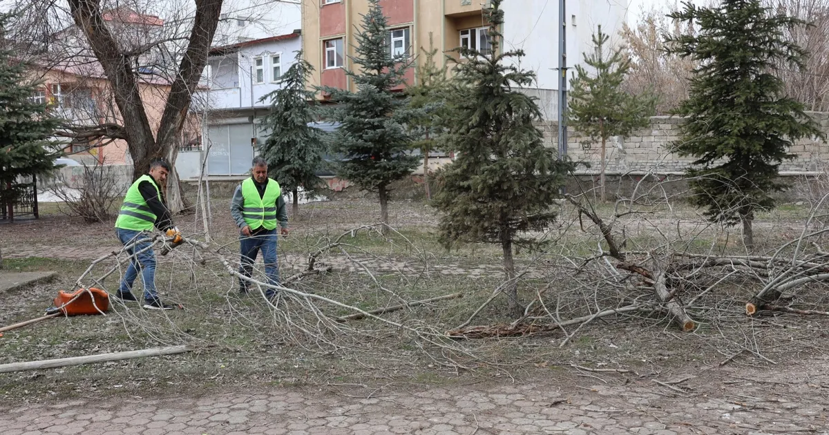 Ağrı’da park ve yeşil alanlarda yenileme çalışmaları