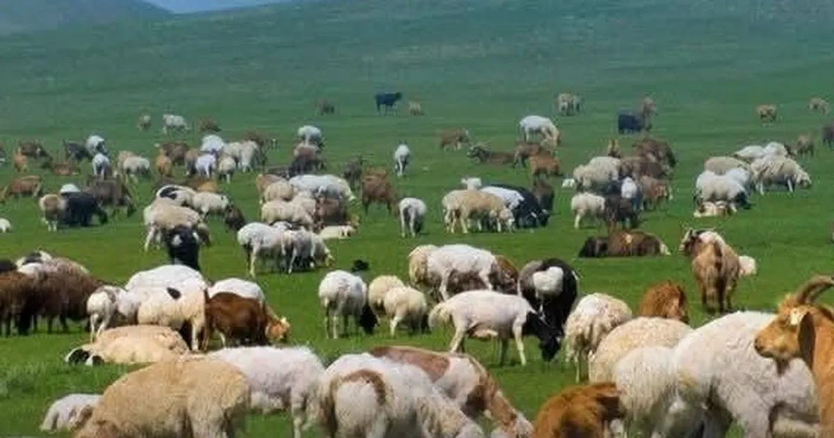 Kırsalda Bereket başvurularında son gün 30 Nisan