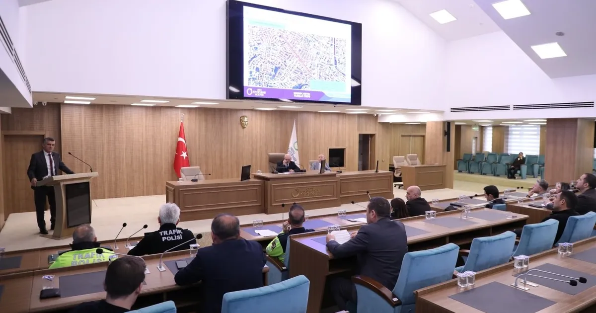 Ordu Altınordu’da bazı caddeler ücretli otopark oldu 