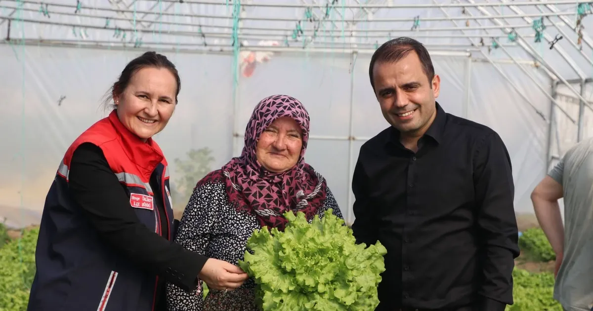 İpsala Esetçe’de 'Meryem Teyze' örneği... Yüzde 75 hibeli serada verimlilik artıyor - Gündem Haberleri