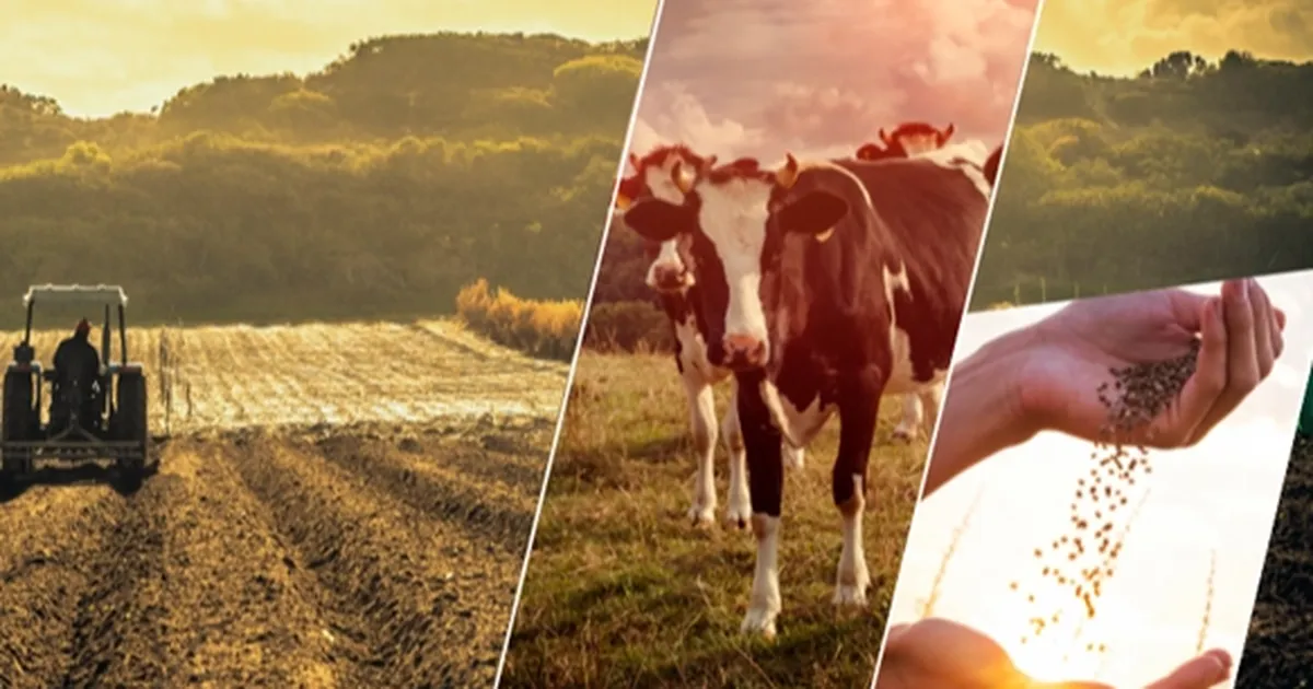 17,4 milyar TL'lik tarımsal destek çiftçilerin hesabında