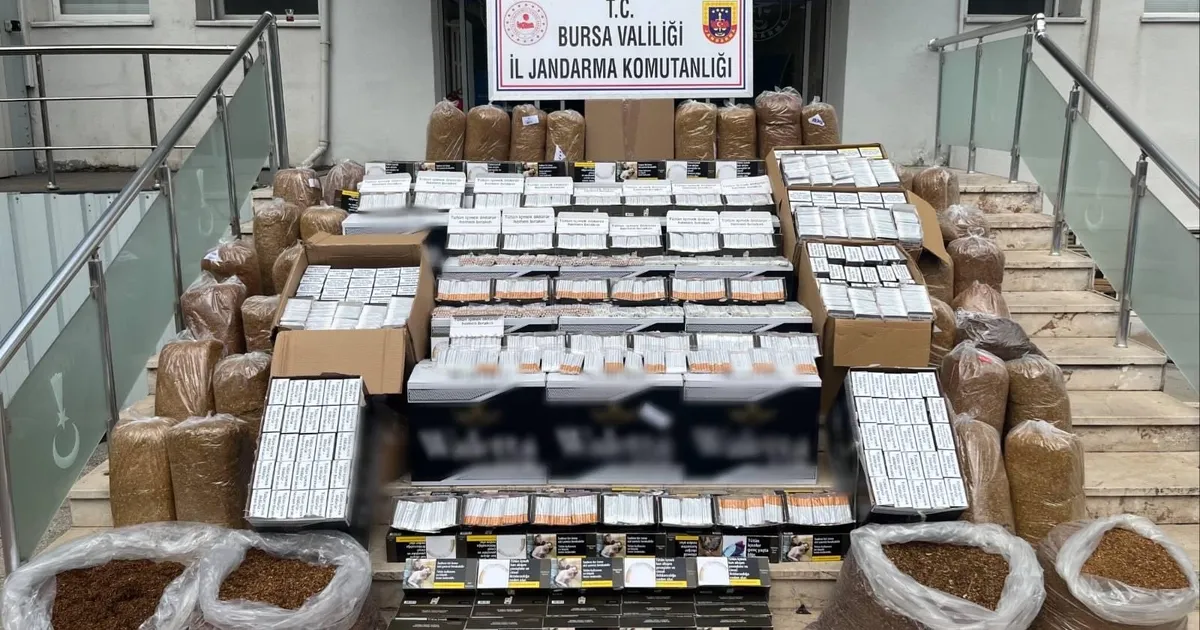 Bursa Gemlik’te kaçak tütün operasyonu