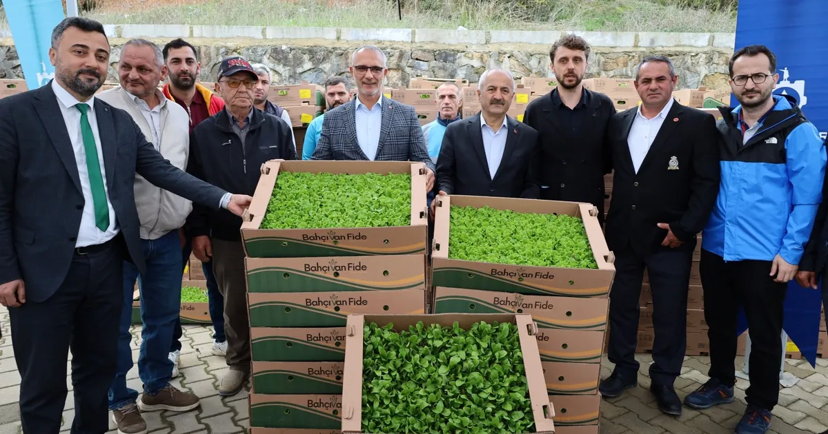 Kocaeli’de çiftçilere sebze fidesi desteği
