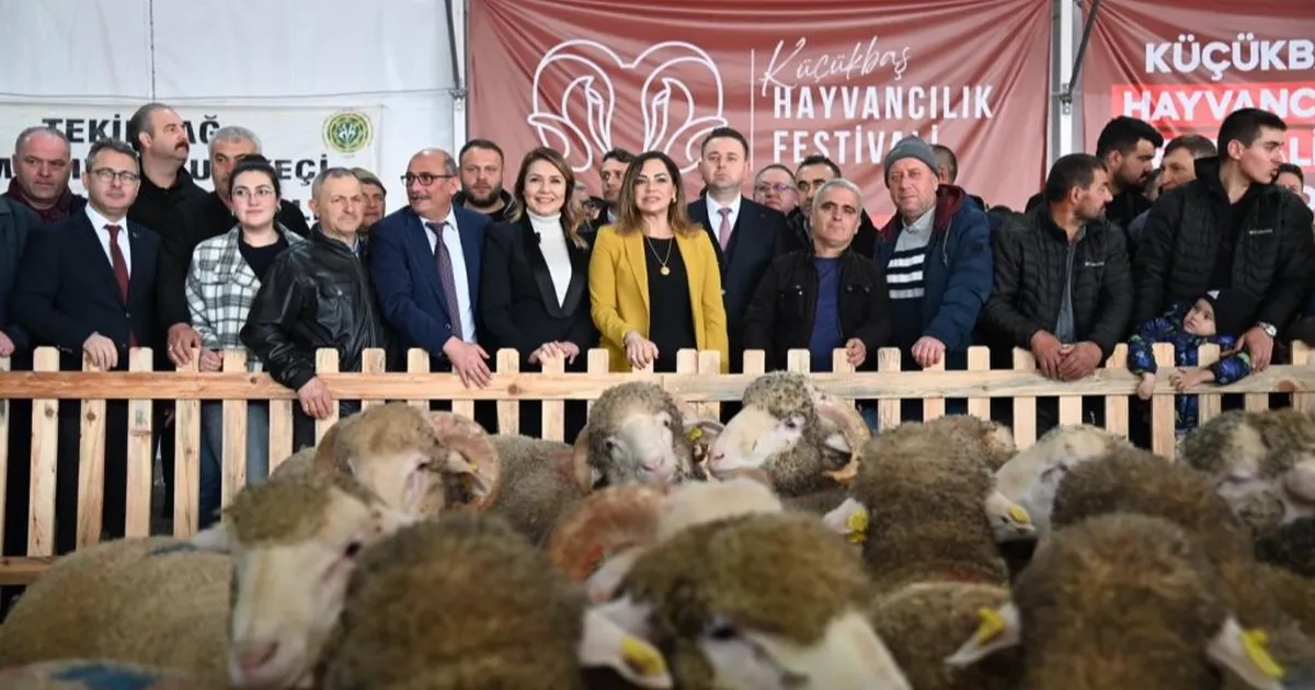 Trakya'nın ilk Küçükbaş Hayvancılık Festivali Malkara'da coşkuyla başladı