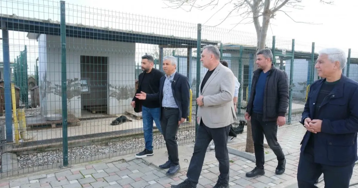 Adanalı veterinerlerden hayvan bakımevine inceleme - Gündem Haberleri