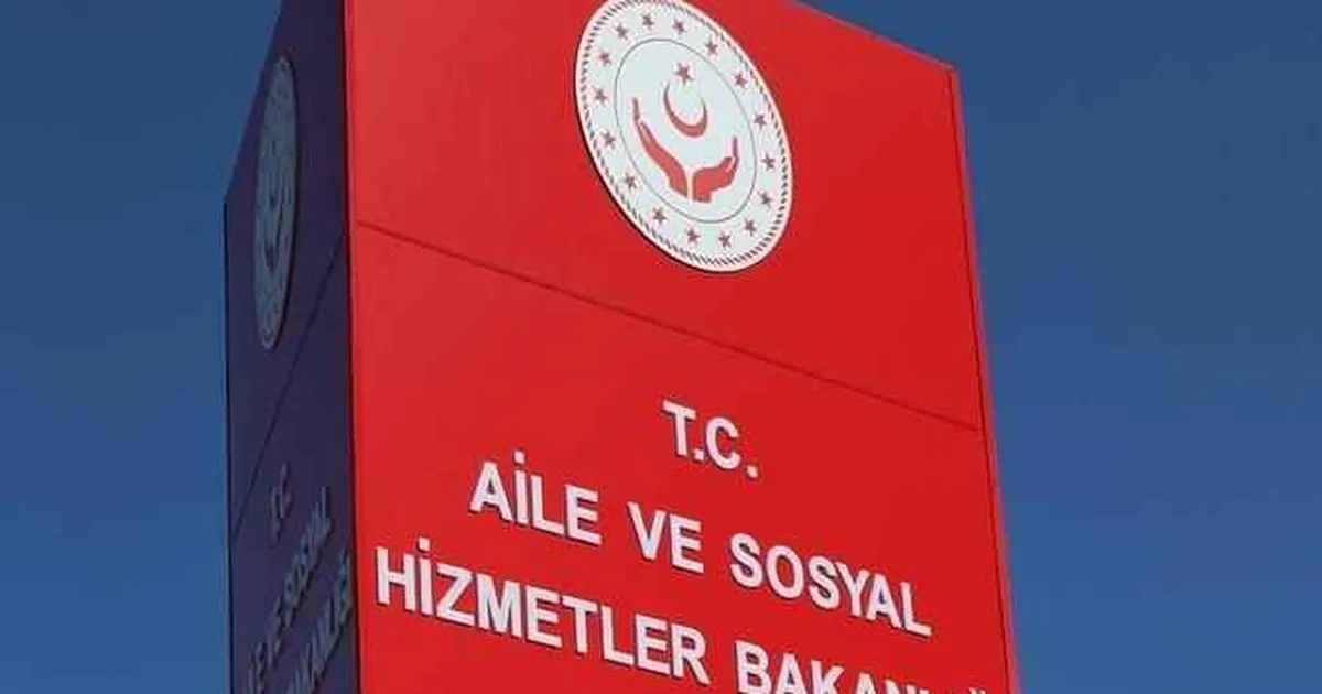 Bakanlık darp edilen anne ve çocuğu için harekete geçti - Gündem Haberleri