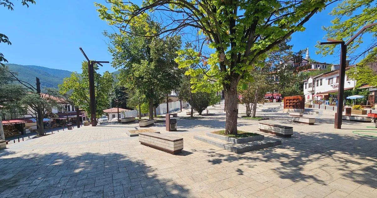 Sakarya Taraklı’da tarihi çınar yeniden hayat buluyor