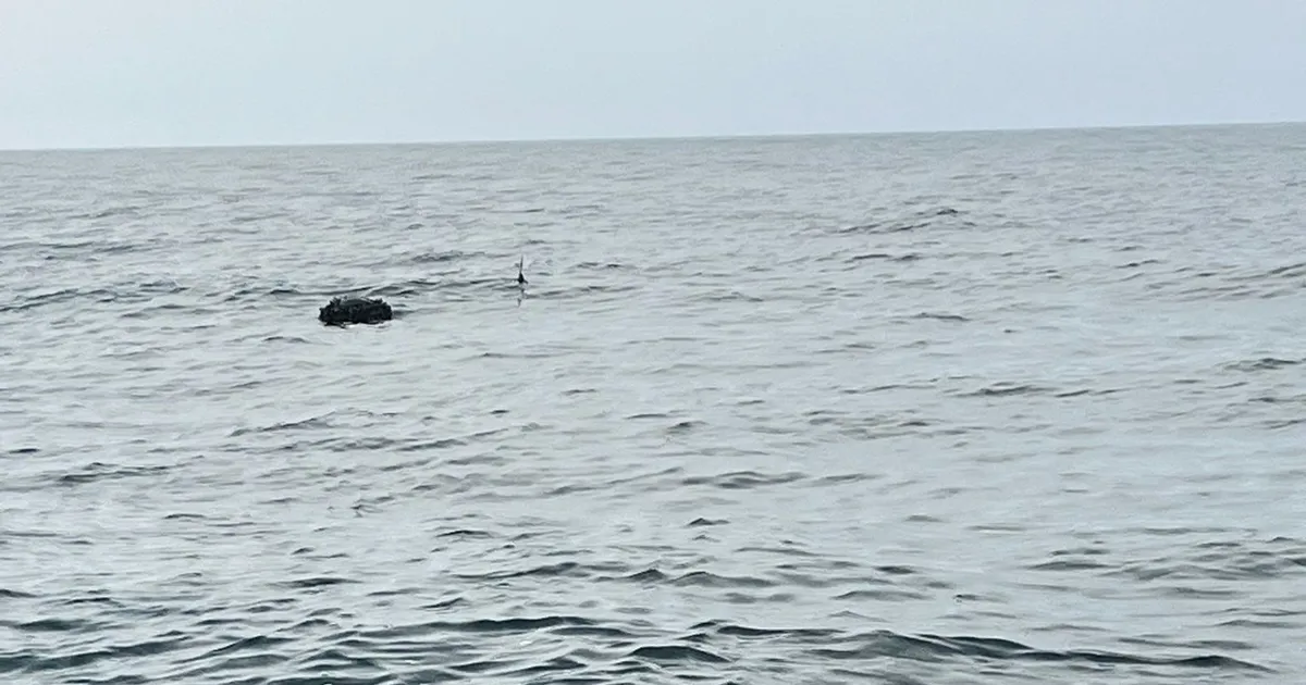 Karadeniz’deki şüpheli mayın SAS timlerince imha edildi!