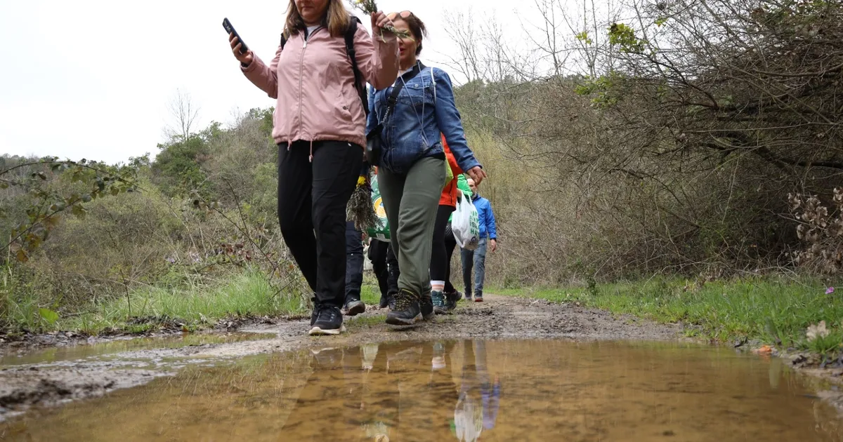 Kocaeli'de 'Bizim Köy'ün rotası Akpınar doğası oldu