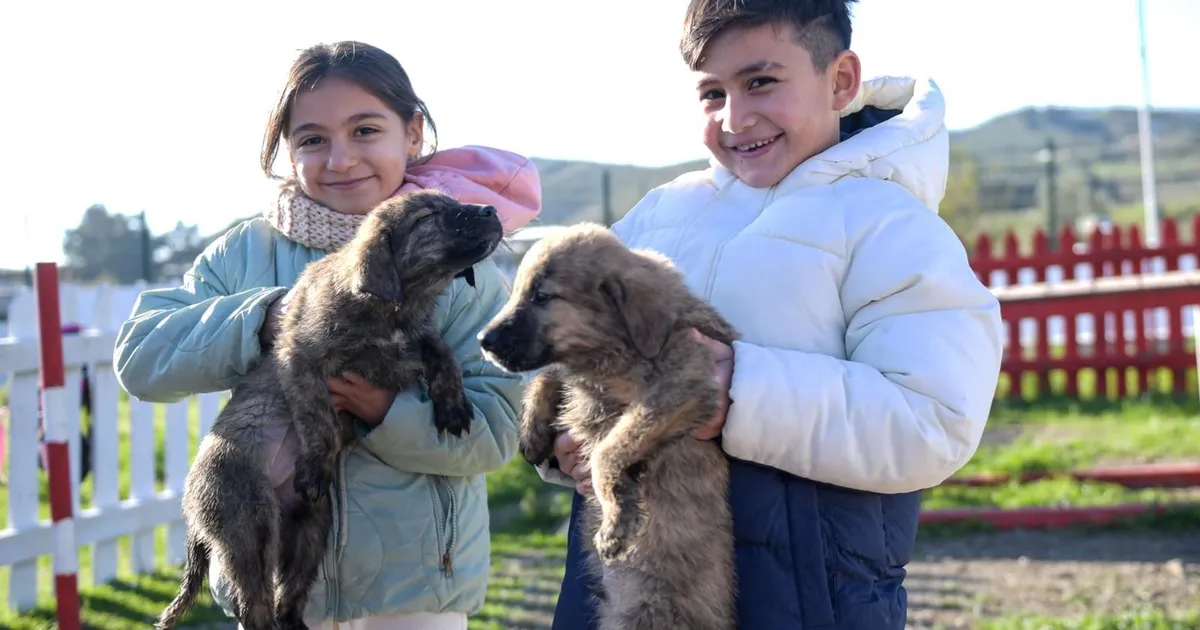 Doğa ve patili dostlar İzmir'de şifa dağıtıyor - Gündem Haberleri