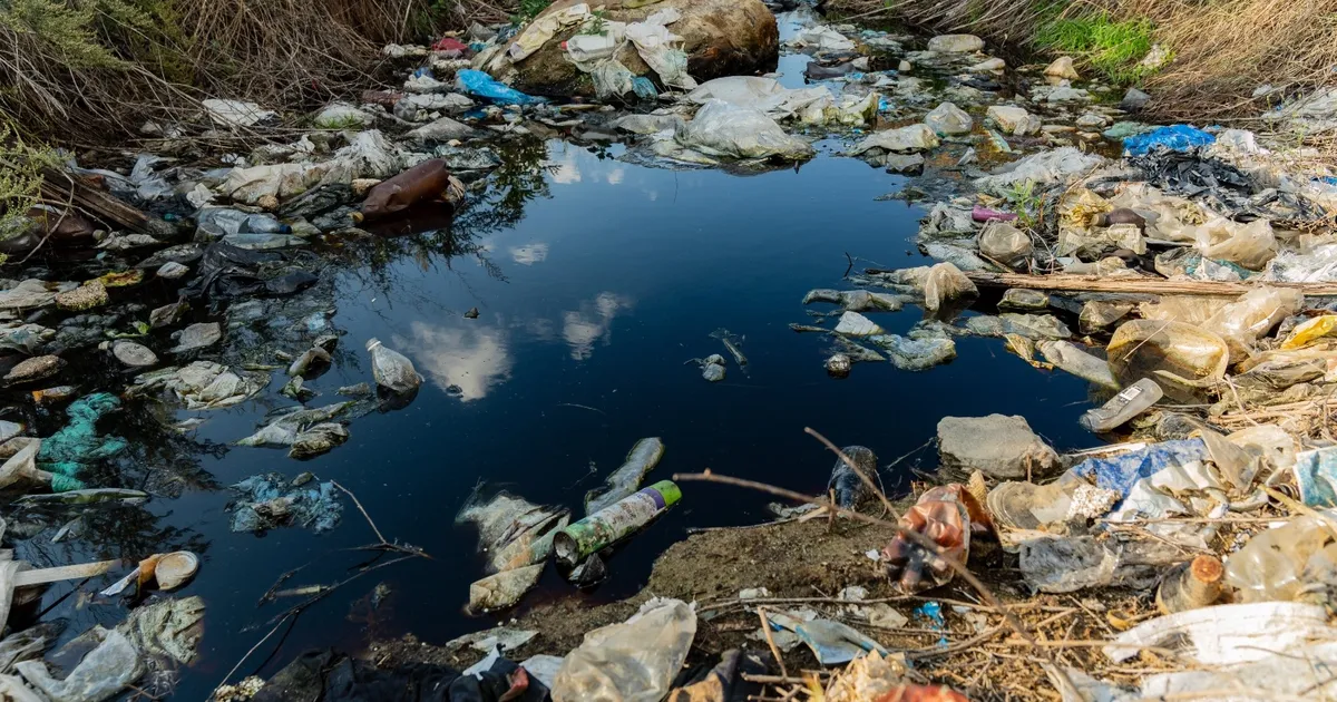 Prof. Dr. Ünüsan'dan mikroplastik uyarısı: Bitki bazlı çözümler umut veriyor ancak...