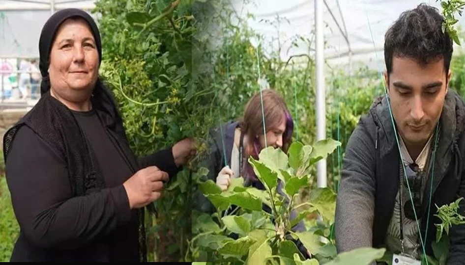 Psikiyatri hastaları tedaviyle birlikte gelir elde ediyor - Sağlık Haberleri