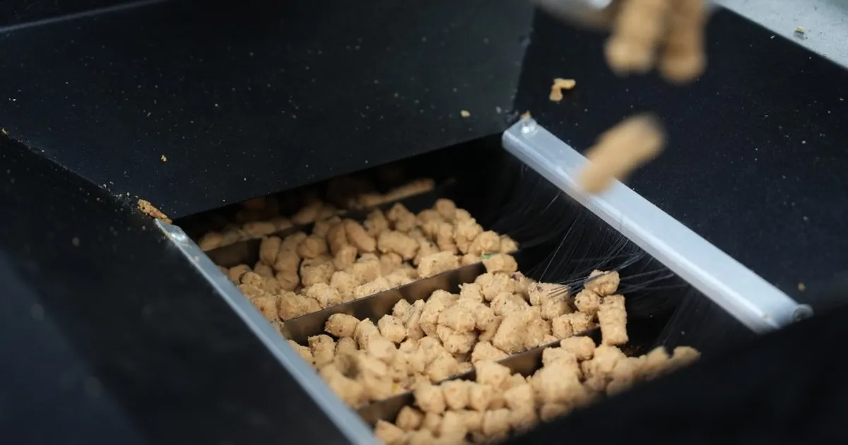 Eskişehir'de atık yemekler mama oluyor