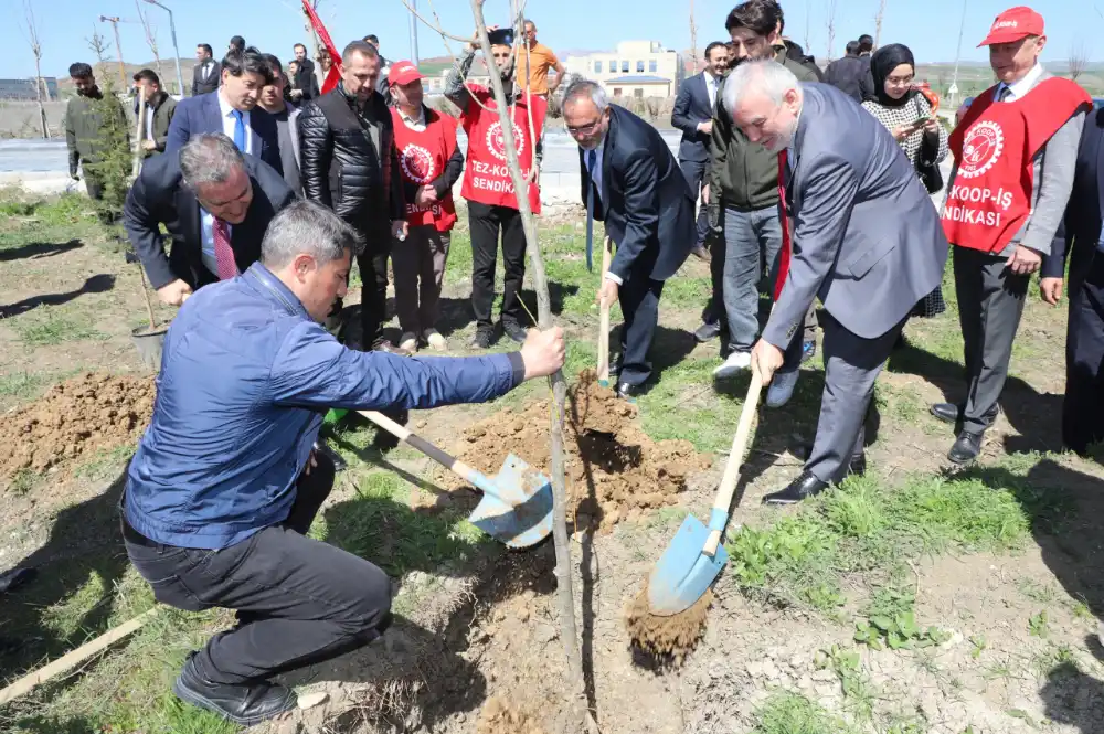 Bozkıra Nefes: AYBÜ’de 2200 fidan toprakla buluştu - Eğitim Haberleri