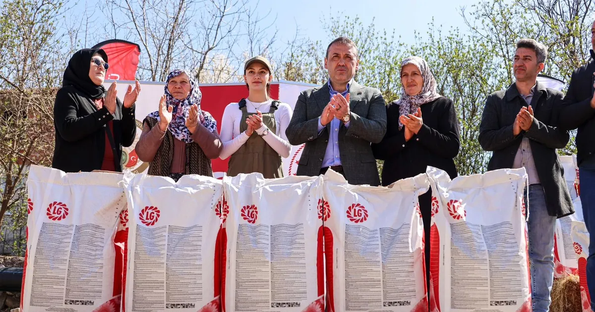 Bilecik'te çiftçilere ayçiçeği tohumu dağıtıldı