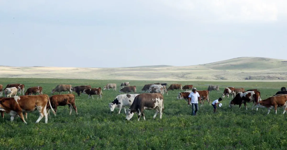 Kars Ani'de meralar yasaklandı mı? Açıklama geldi