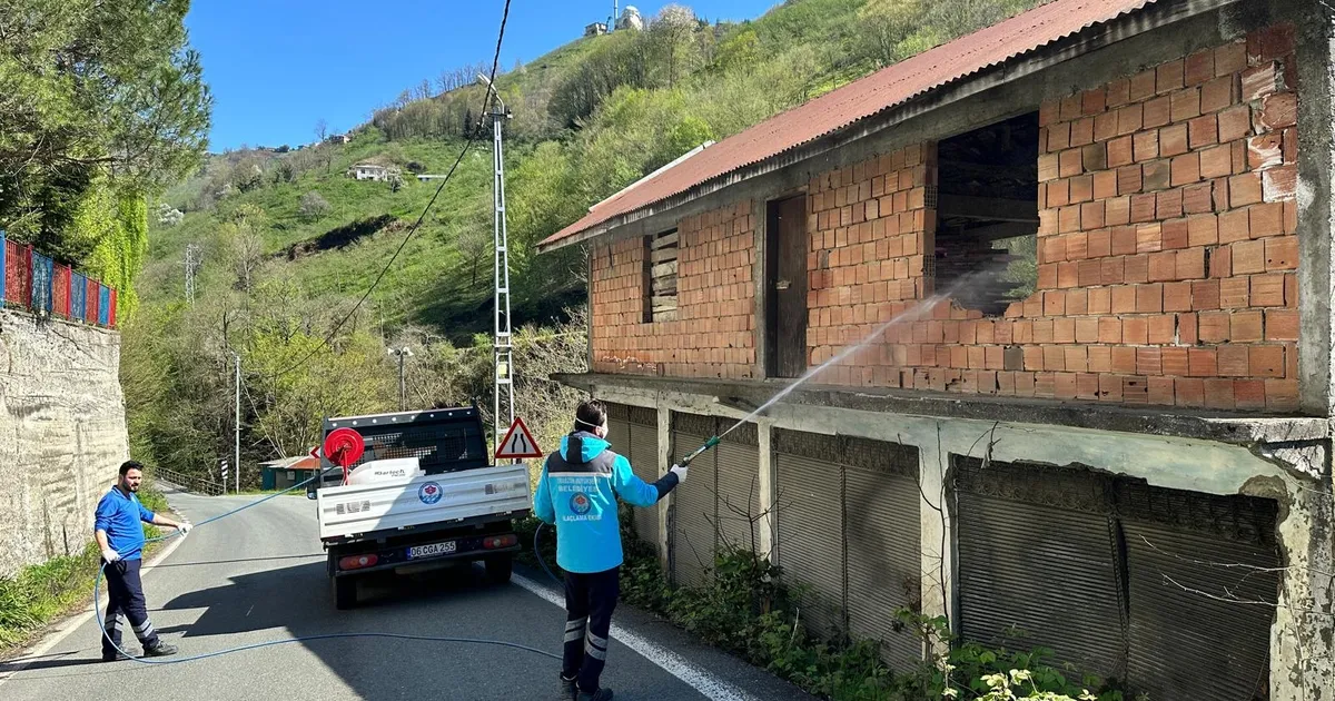 Kahverengi kokarcaya karşı Trabzon’da seferberlik