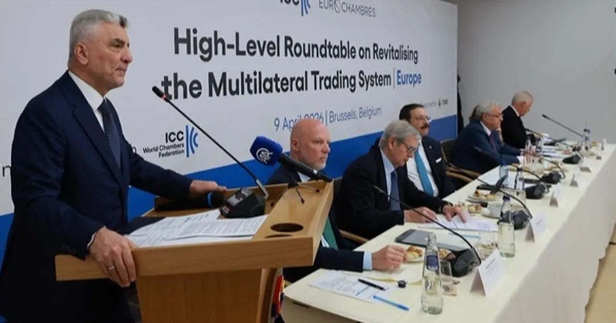 Bakan Bolat Brüksel'de yuvarlak masada konuştu