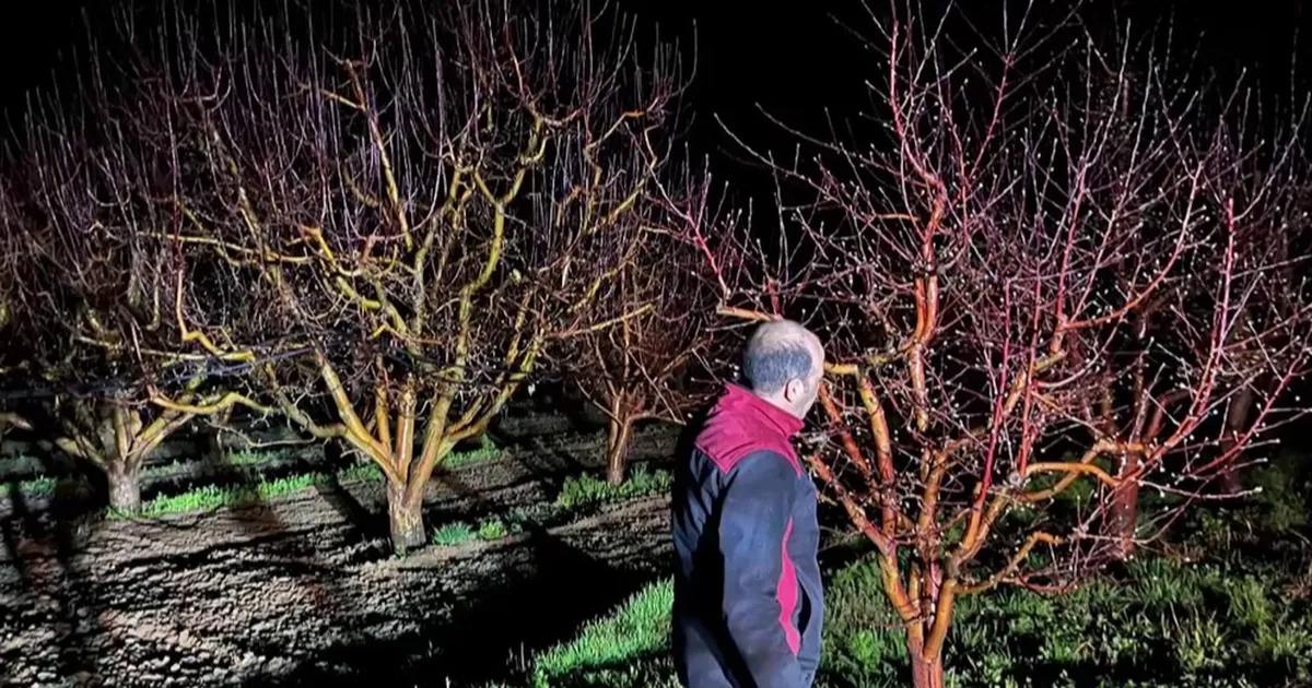 Zirai don alarmı! Ekipler sahada - Gündem Haberleri