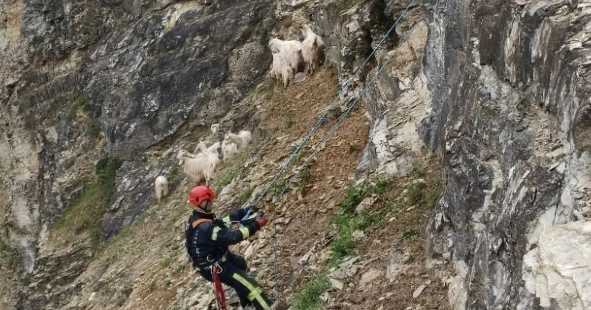 Her can Kocaeli İtfaiyesi’ne emanet