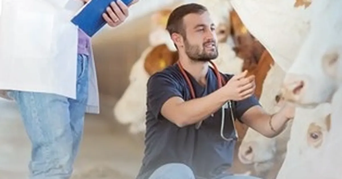 Denizli Büyükşehir’den üreticiye sahada destek