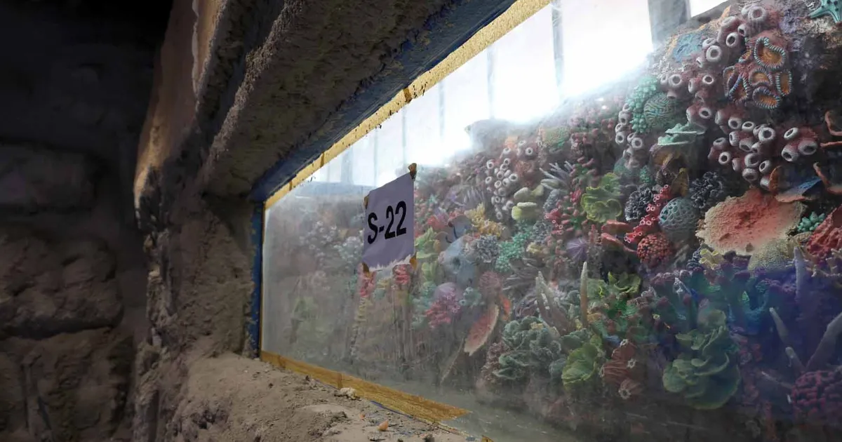 Kocaeli 'akvaryum' için geri sayım başladı... 30 farklı akvaryum eşsiz gezi yaşatacak