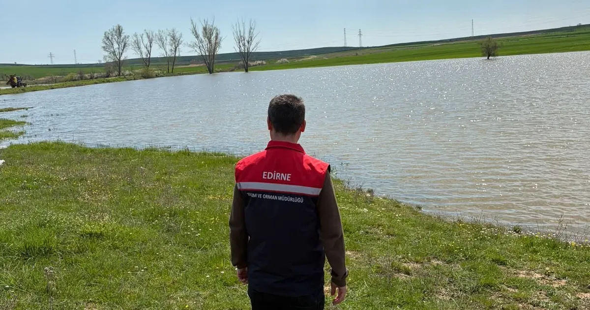 İç sularda av yasağı devrede: Sazan ve Yayın balığına 3 ay dokunulmayacak