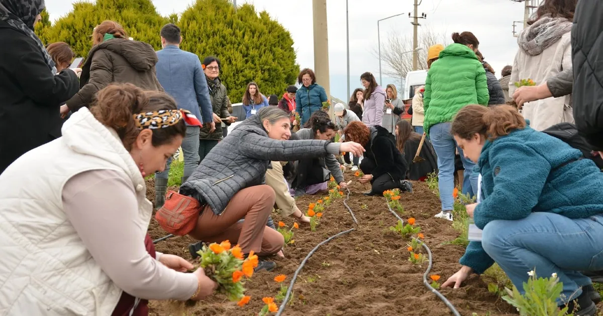 Balıkesir Büyükşehir'den tıbbı ve aromatik bitkiler yetiştiriciliği kursu - Gündem Haberleri