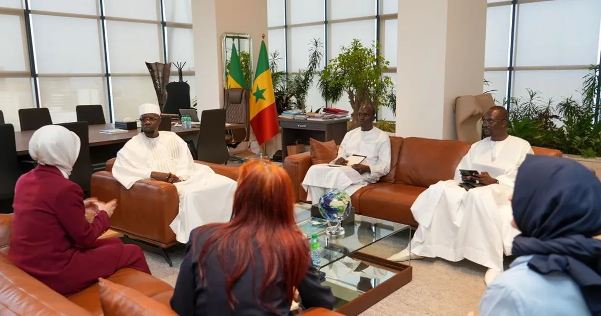 Türkiye-Senegal hattında 4 yıl sonra kritik KEK buluşması