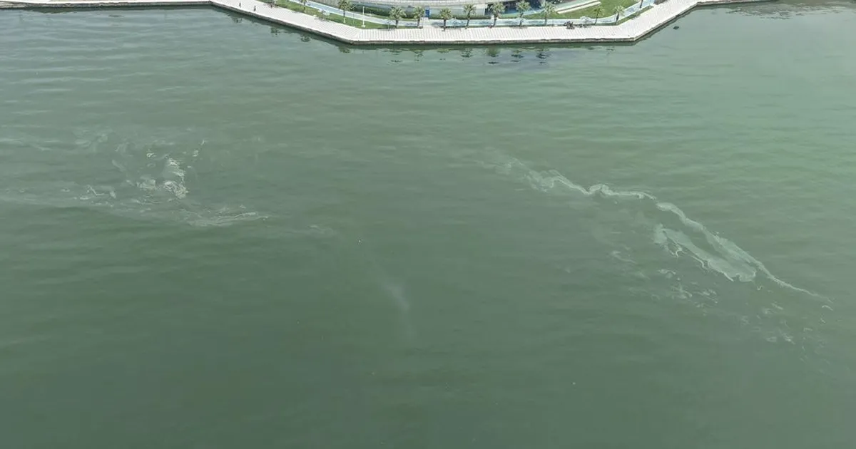 İzmir Körfezi’nde kirlilikte 10'uncu tespit