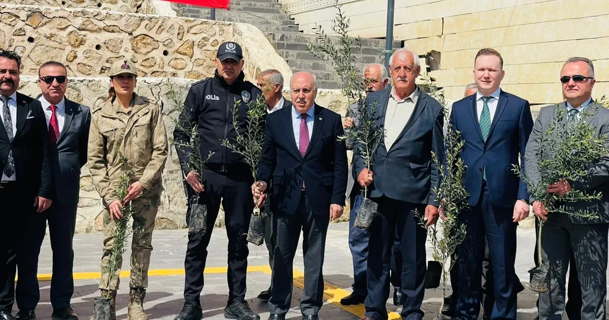 Mardin Yeşilli’de tarihi rekor! 102 bin meyveli fidan dağıtıldı