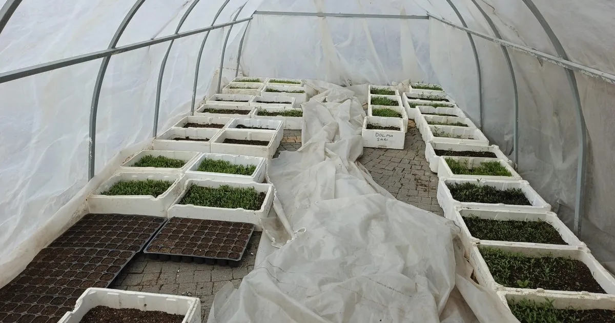 Kayseri Büyükşehir'in Doğal Ürünler Pazarı'nda geri sayım - Gündem Haberleri