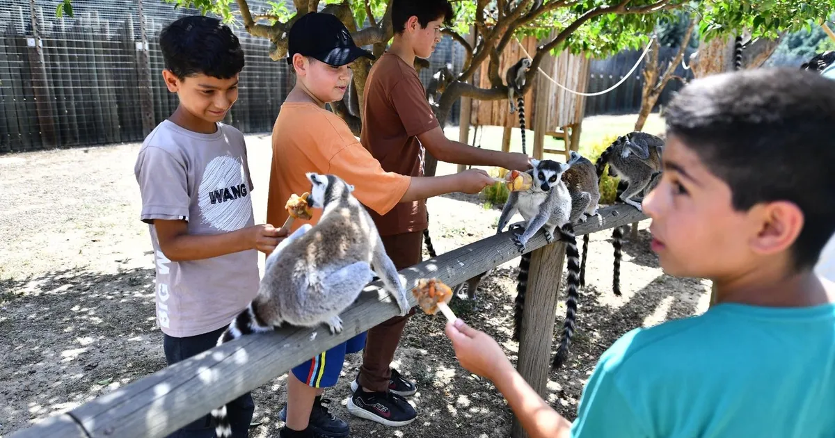 İzmir'de Doğal Yaşam Parkı öğrencilere ücretsiz olacak