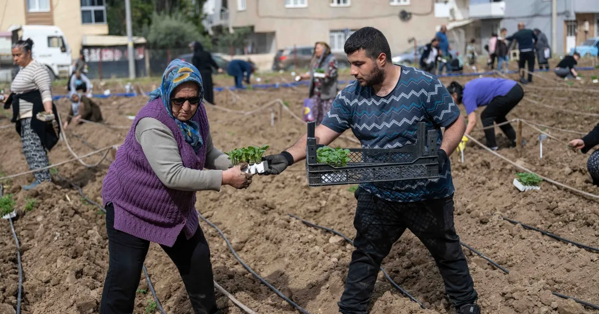 Bornova’da umut toprakla büyüyor - Gündem Haberleri