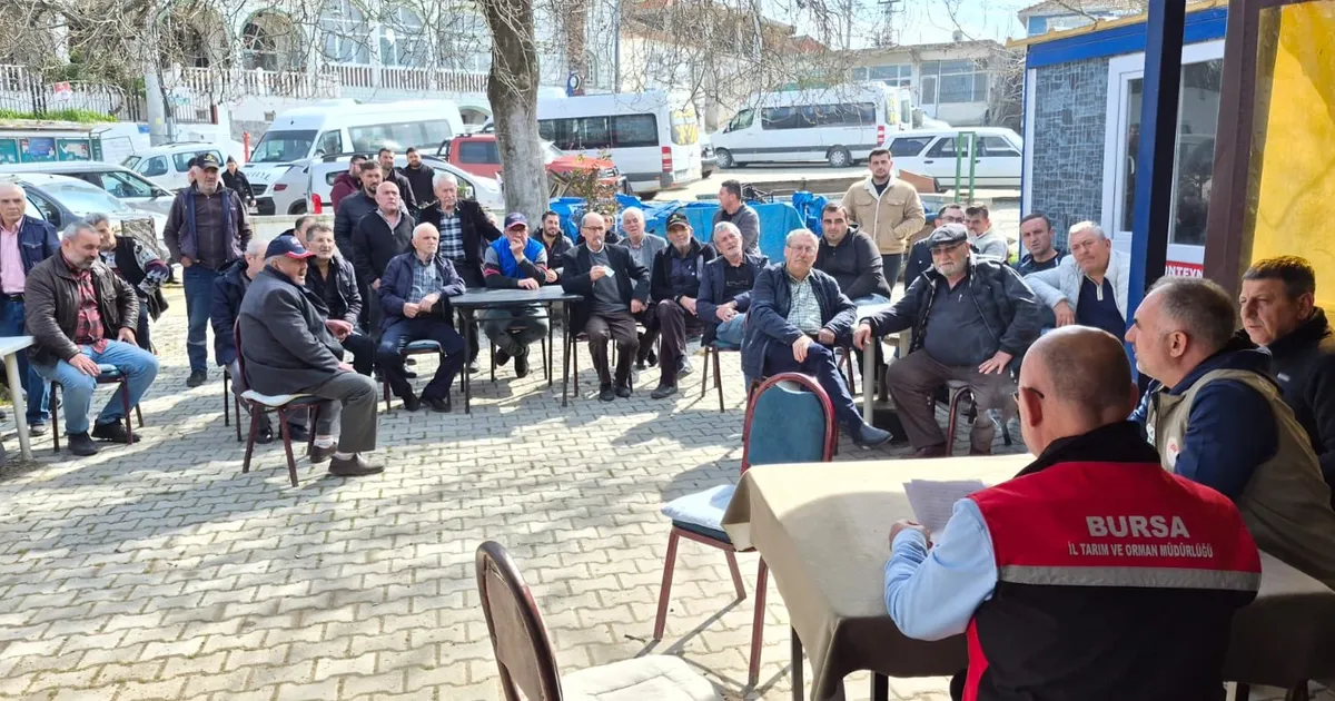 Mudanya'da üreticilere 'Bitki Koruma Ürünleri' eğitimi