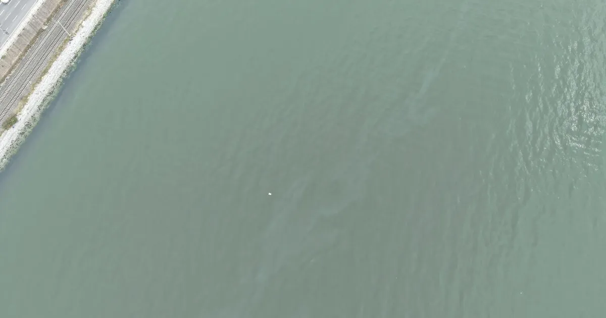 İzmir Körfezi’nde kirlilik endişelendiriyor! Aynı tehdit 11. kez görüldü - Gündem Haberleri