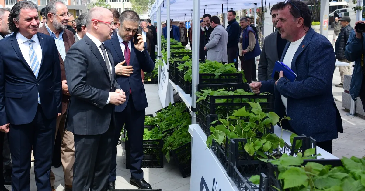 Kestel’de çiftçiye Ahududu desteği - Ekonomi Haberleri