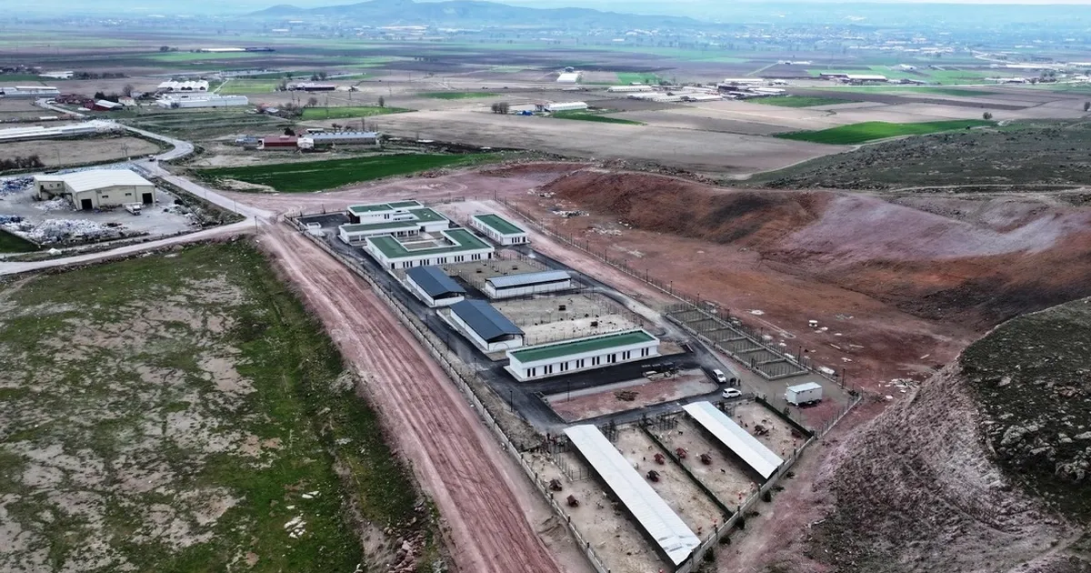 Kayseri Kocasinan'dan sokak hayvanlarına özel mekan - Gündem Haberleri