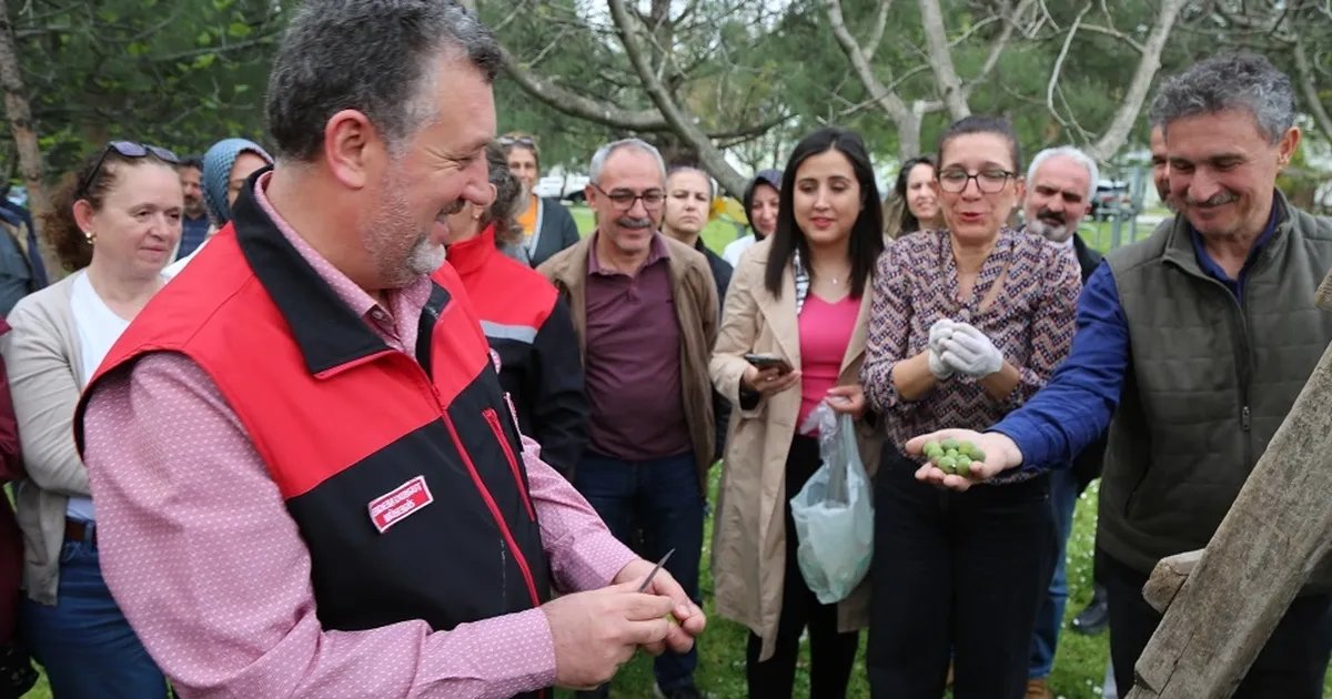 Bursa siyahı incirde sıkı denetim