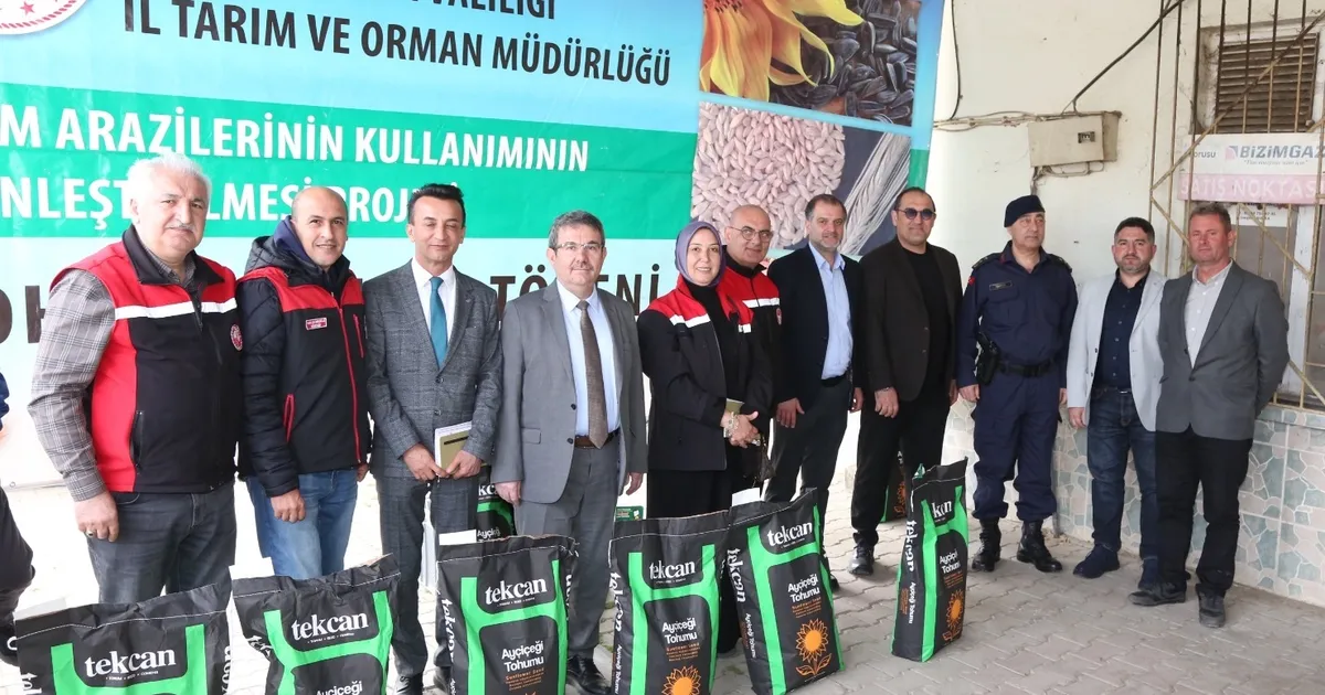 Bursa'nın üç ilçesinde ayçiçeği üretimine güçlü destek