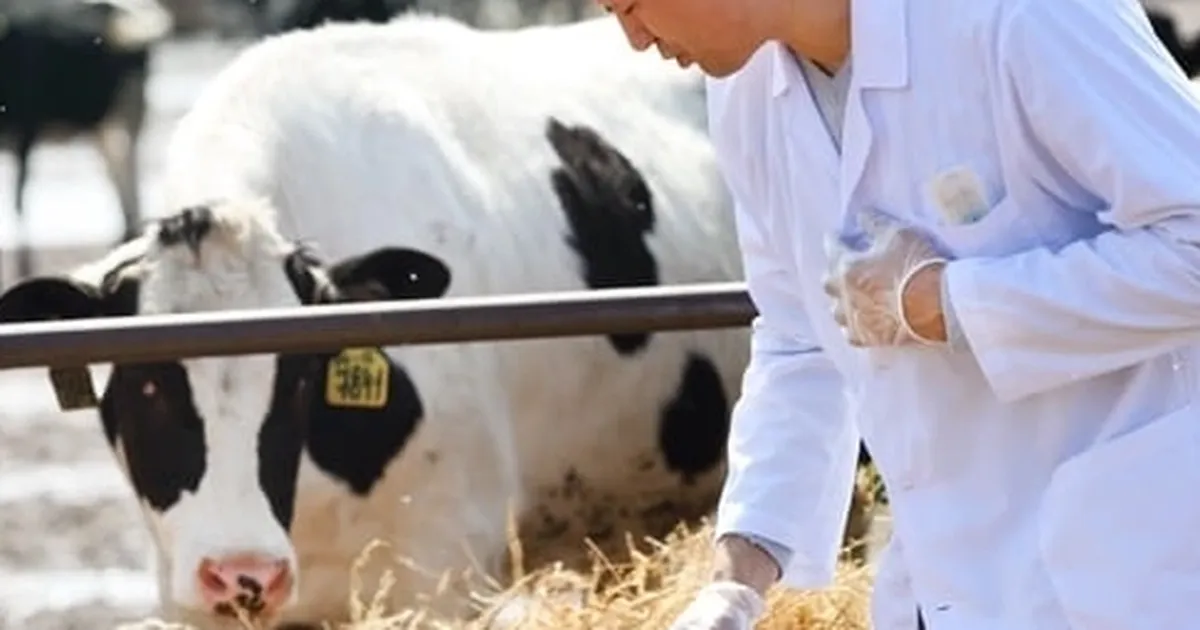 Tarımda maliyet baskısı sürüyor... Girdi fiyatları veteriner harcamaları yine zirvede