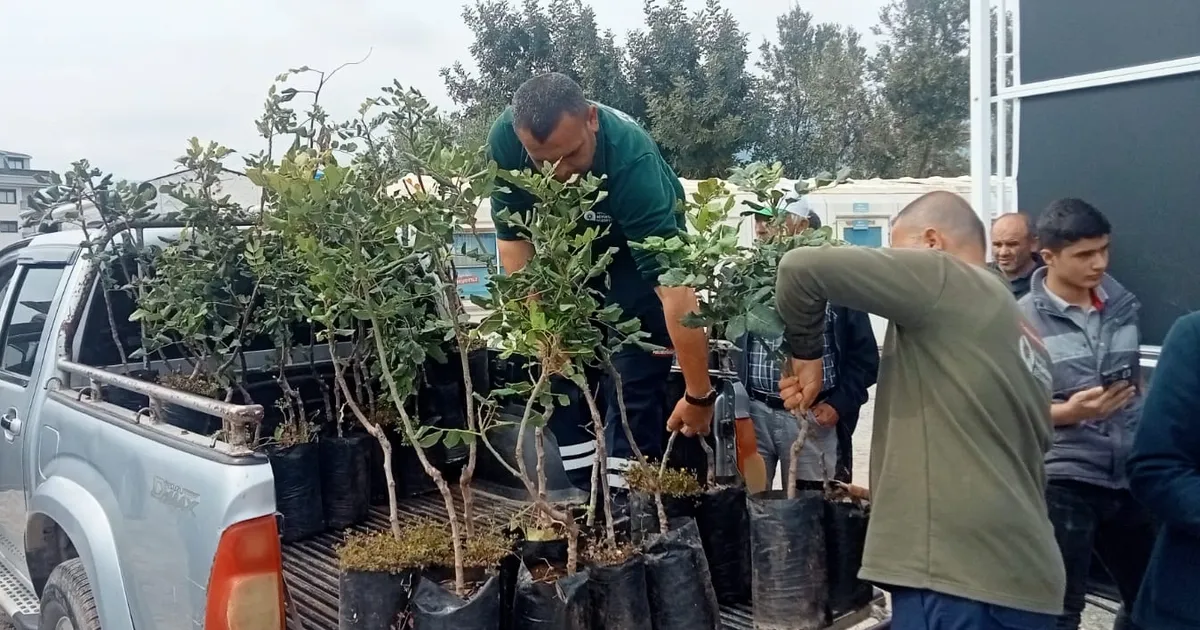 Alanya’nın coğrafi işaretli keçiboynuzuna destek