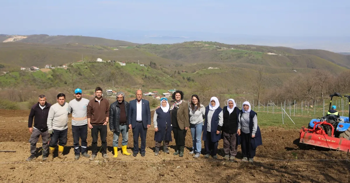 Bursa Nilüfer’de atıl araziler bereketleniyor