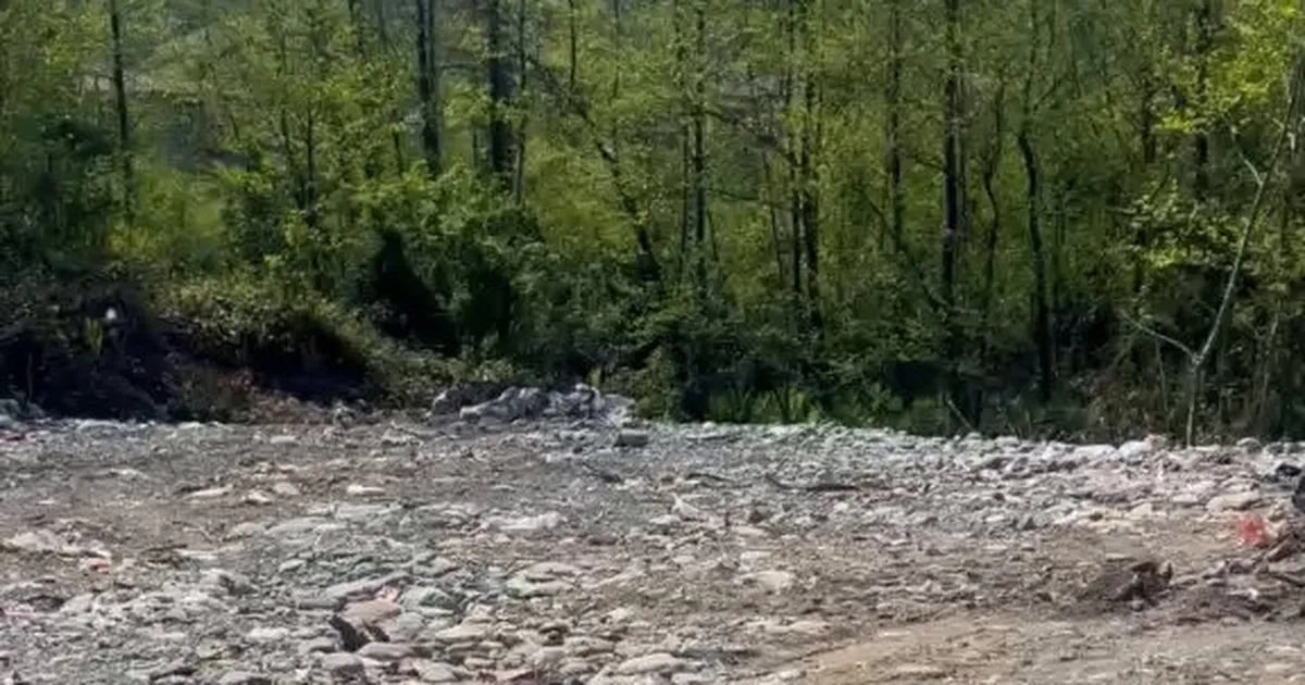 Rize’de vahşi depolamaya milyonluk ceza! Çevre'den suç duyurusu