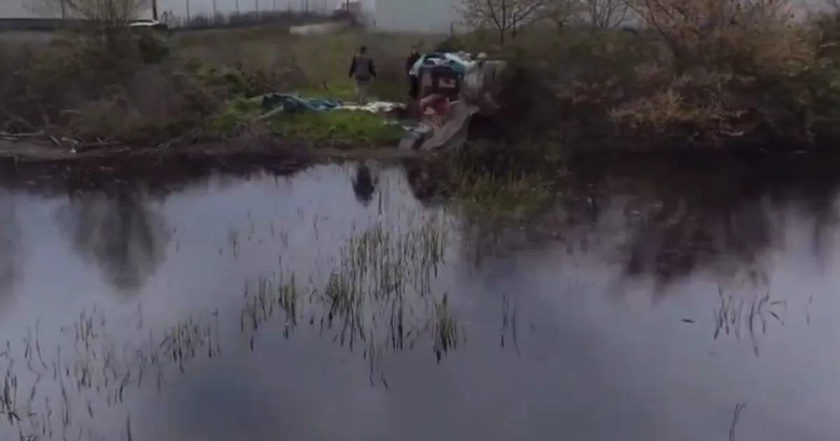 Bursa'da sulak alanlarda gümeler imha edildi