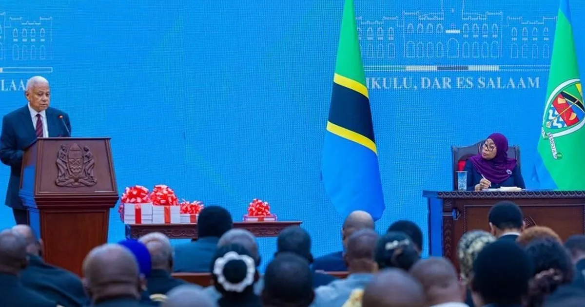 Cumhurbaşkanı Samia, Soruşturma Komisyonu Raporunu aldı... Ulusal uyum, hesap verebilirlik ve reformlar için çağrıda bulundu