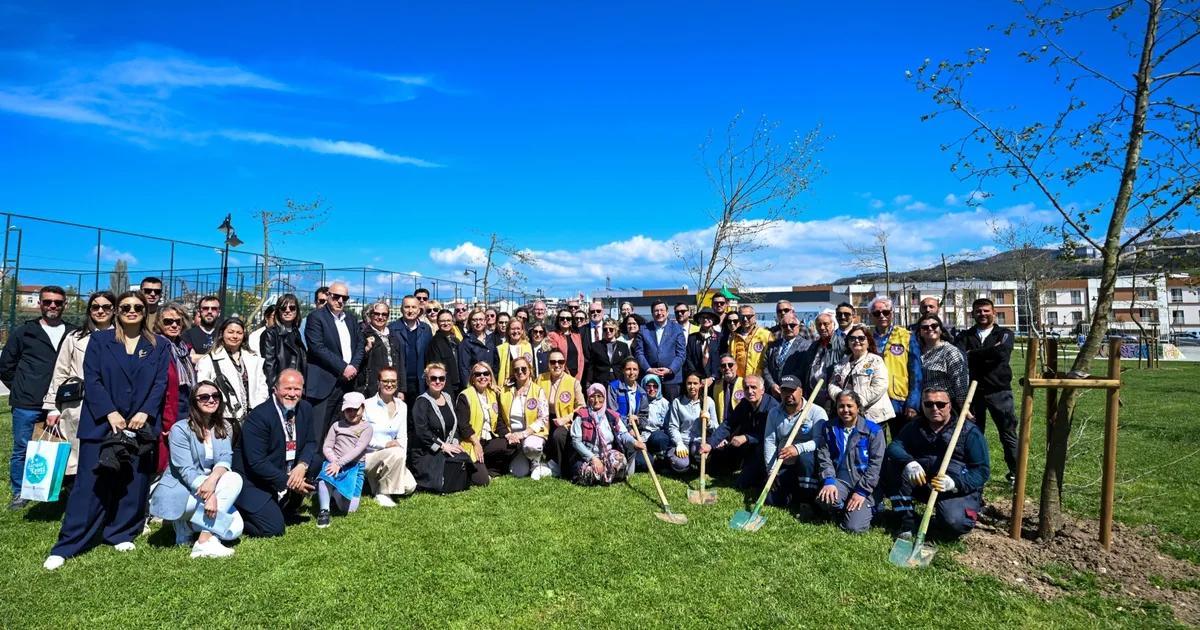 Yetişkin ağaçlar toprakla buluştu