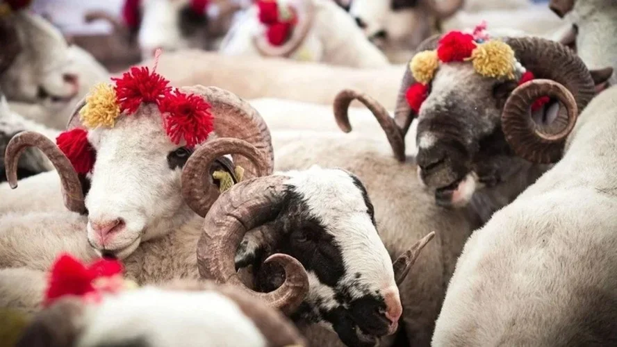 2026 kurban uygulama esasları Resmi Gazete’de